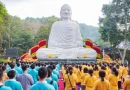 Sau khi thành đạo, Đức Phật nhập định một tuần đứng nhìn cây Bồ đề, điều này có ý nghĩa gì?